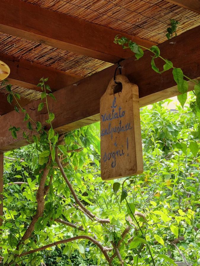 Villa Pina Laigueglia Εξωτερικό φωτογραφία